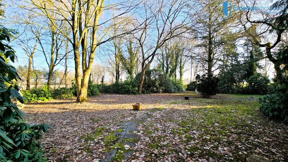 Garten 5 Einfamilienhaus Esterwegen