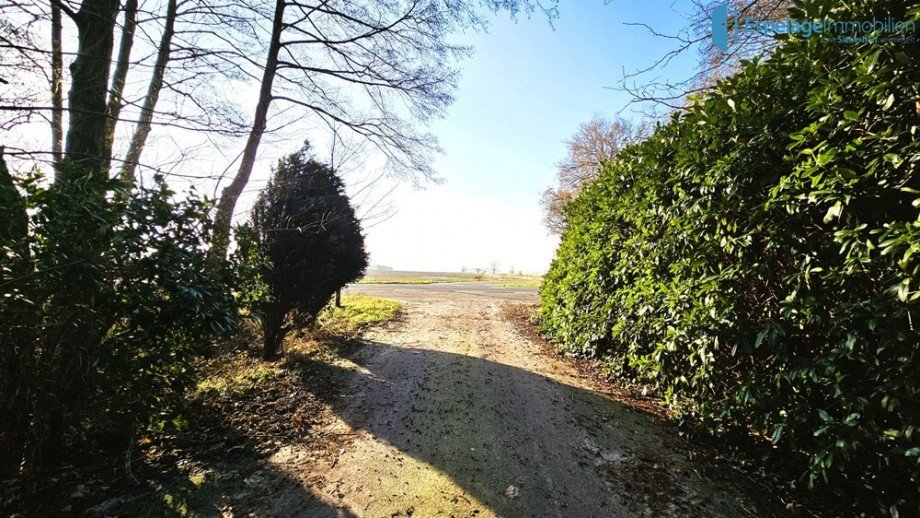 Zufahrt Einfamilienhaus Esterwegen